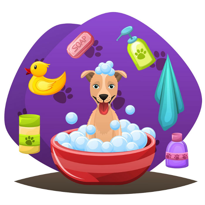Hond die in bad zit.