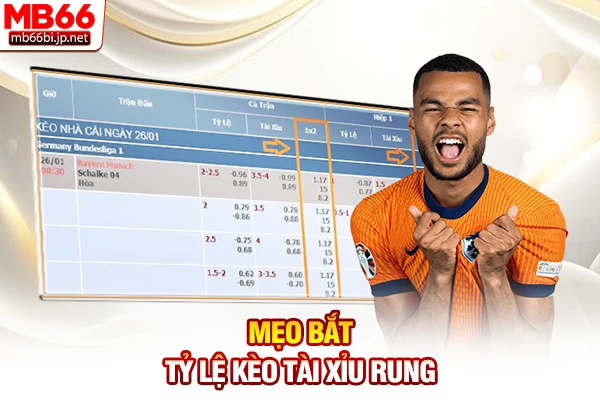 Mẹo bắt tỷ lệ kèo Tài Xỉu rung